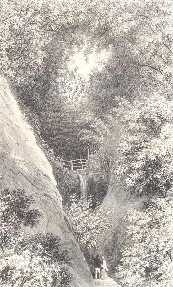 ISLE OF WIGHT. Shanklin Chine. Waterfall 1864 old antique print picture